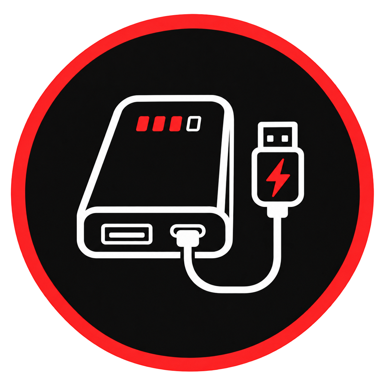 Module powerbank